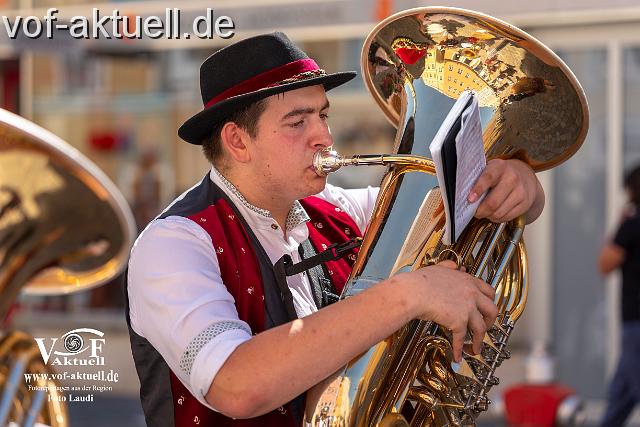 Foto Laudi_ Volksfestzug-103.jpg
